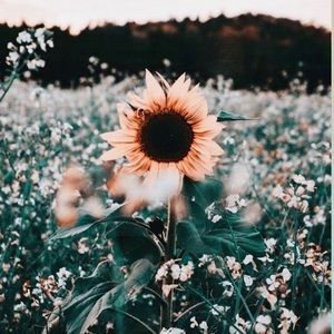 Meet your Posher, Ella